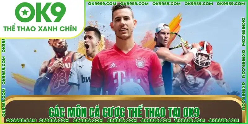 Các môn cá cược thể thao tại OK9 Các môn cá cược thể thao tại OK9