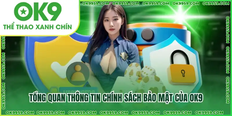 Tổng quan thông tin chính sách bảo mật của OK9