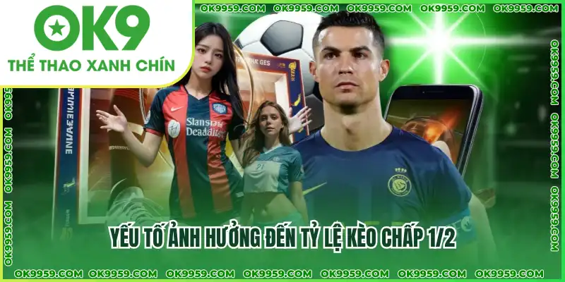 Yếu tố ảnh hưởng đến tỷ lệ kèo chấp 1/2